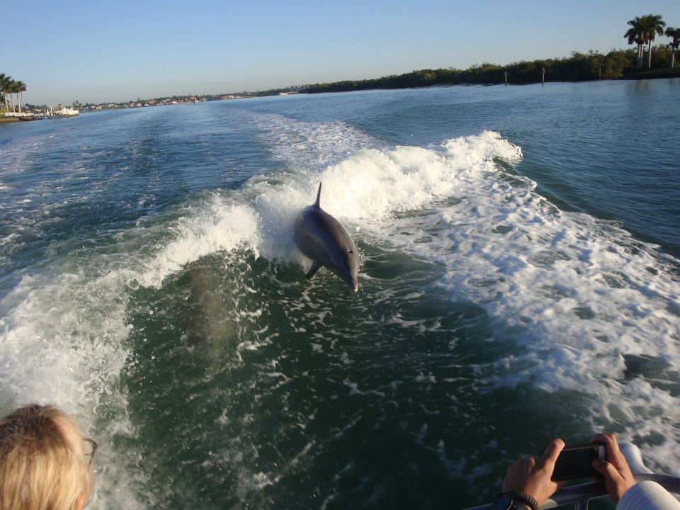 boat rentals fort myers area boat rentals pure fort myers boat rentals fort myers area boat rentals pure fort myers